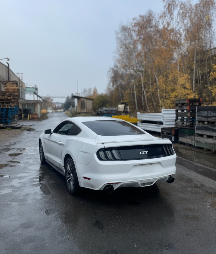 Ford Mustang GT - od 15 min až Víkend - Akce BLACK FRIDAY Slevy až 40%